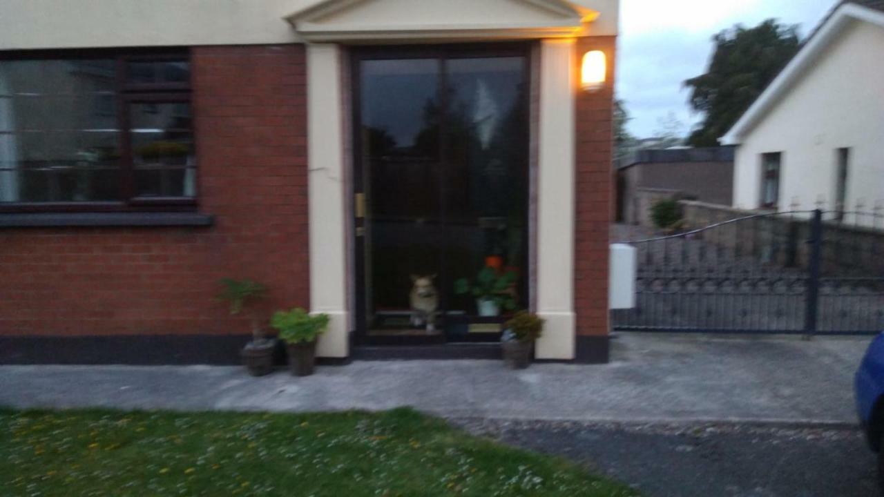 Big Bright Room Carrigaline Exteriér fotografie